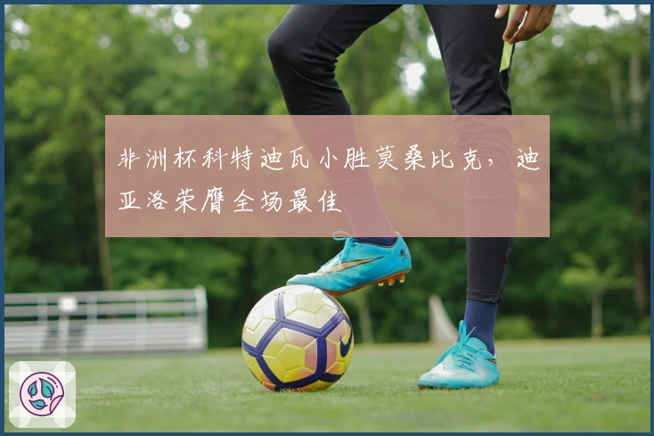 非洲杯科特迪瓦小胜莫桑比克，迪亚洛荣膺全场最佳